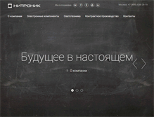 Tablet Screenshot of nitronik.ru